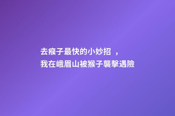 去瘊子最快的小妙招，我在峨眉山被猴子襲擊遇險-第1張-觀點-玄機派